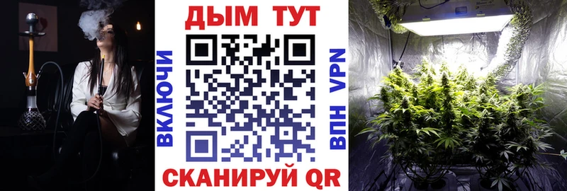 Где купить Лесной Галлюциногенные грибы  Мефедрон  Бошки Шишки  Героин  Cocaine 
