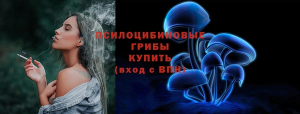 мдпв Зеленодольск