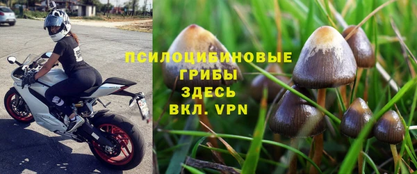 2c-b Иннополис
