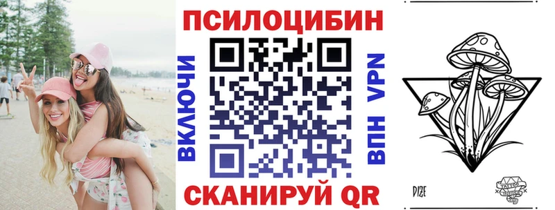 где купить наркоту  Лесной  даркнет как зайти  Галлюциногенные грибы Magic Shrooms 