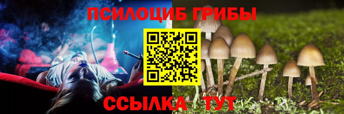 Галлюциногенные грибы GOLDEN TEACHER  Галлюциногенные грибы Psilocybe  Вход с VPN  Лесной 