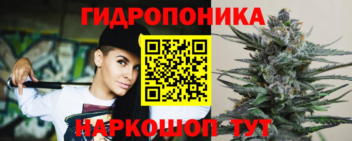 Лесной  Бошки марихуана AK-47  МАРИХУАНА марихуана  Бошки марихуана семена  Канабис VHQ  Вход с VPN 